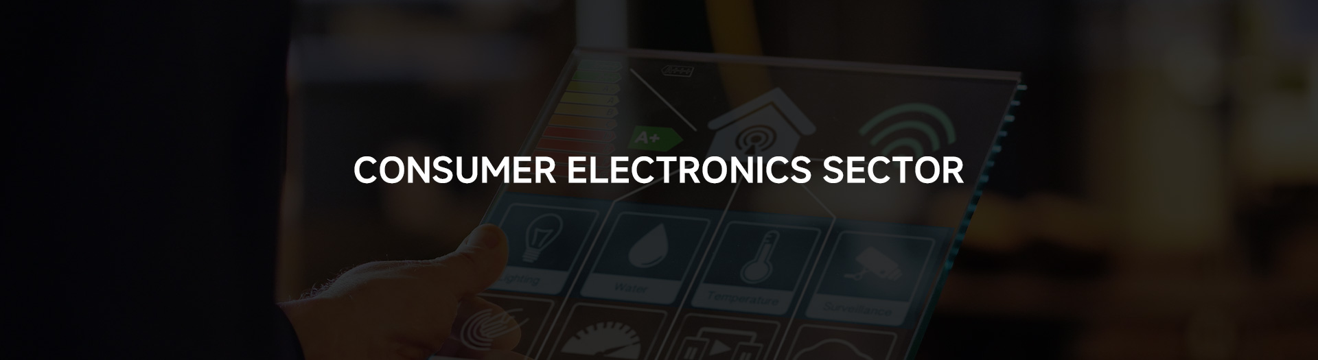 Consumer Electronic